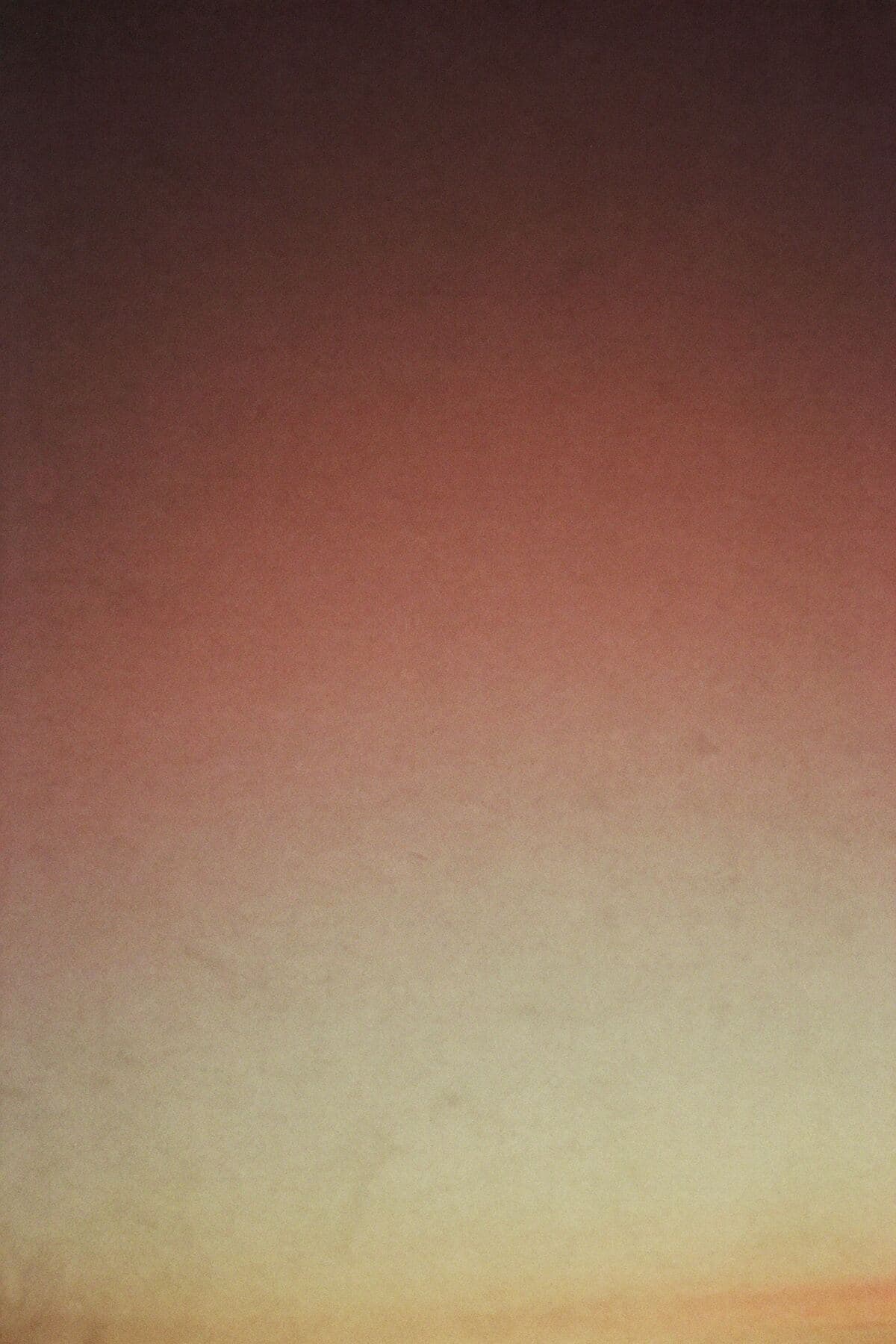 A soft dusk gradient, rose fading to gold